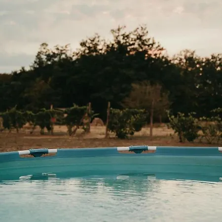 Casa vacanze Terrazzo House Subotica