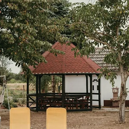 Terrazzo House