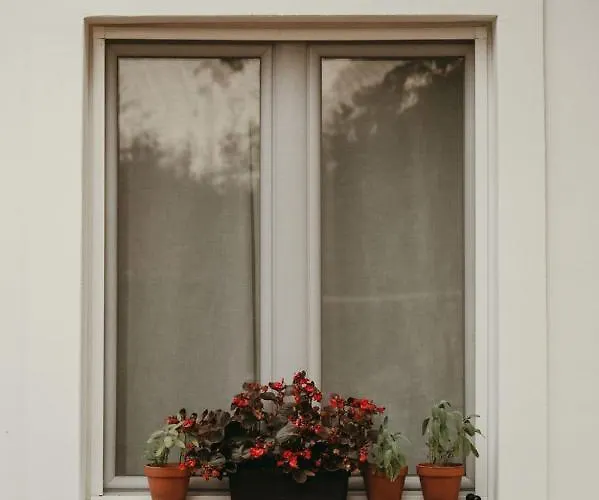 펜션 Terrazzo House *