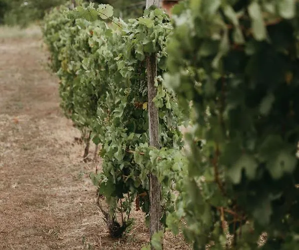 펜션 Terrazzo House